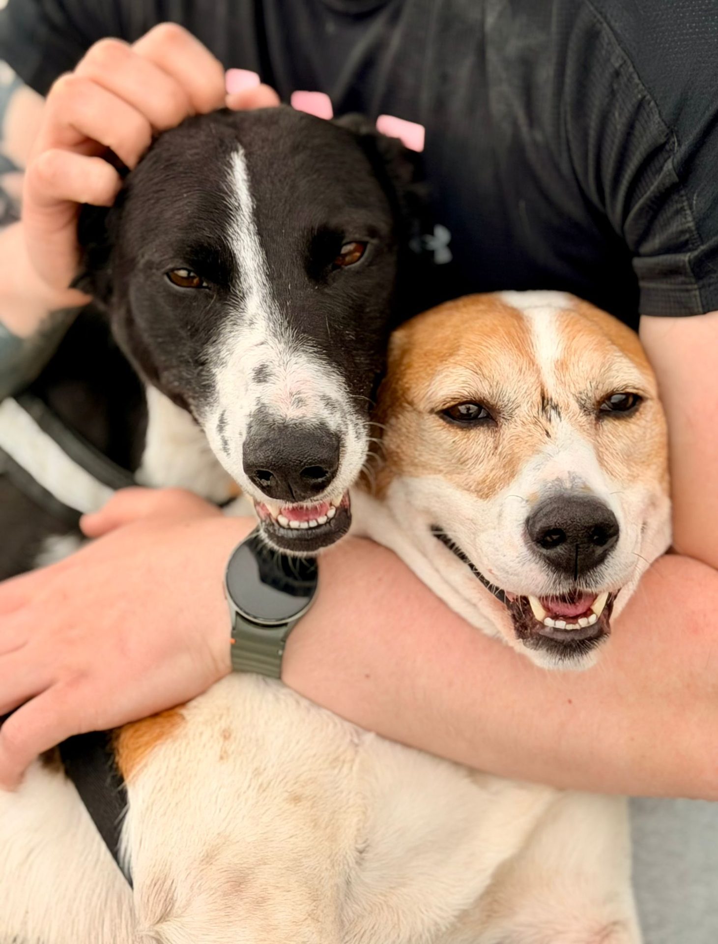 Dani & Stella